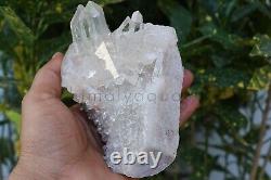 AAA+ Himalayen Samadhi Quartz blanc Minéraux naturels 1,07 kg Spécimen de Quartz