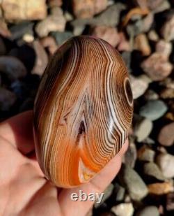 Agate rayée de Madagascar : Exceptionnelle gemme enveloppante, pièce de collection de 13,1 oz.