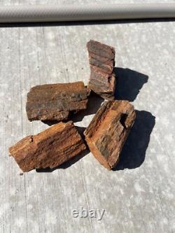 Beaux morceaux de bois pétrifié de différentes tailles et poids