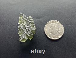 Besednice Moldavite Crystal 6.78gr/33.9ct Pièce Collectrice De Haute Qualité