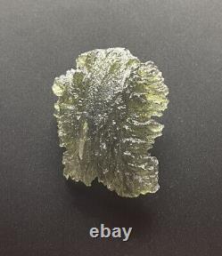 Besednice Moldavite Crystal 9.58gr/47.9ct Pièce De Collectionneur De Haute Qualité Hedgehog
