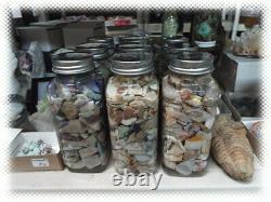 Big Jar Australian Opal Rough With Fossil Shell Pieces Mixte Grades Lot