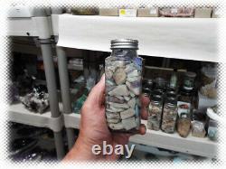 Big Jar Australian Opal Rough With Fossil Shell Pieces Mixte Grades Lot