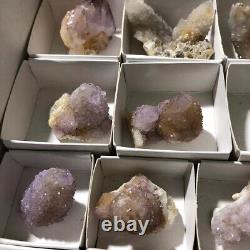 CRISTAL CACTUS SPIRIT QUARTZ 34 PIÈCES COULEURS MÊLÉES CCflat78