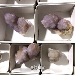 CRISTAL CACTUS SPIRIT QUARTZ 34 PIÈCES COULEURS MÊLÉES CCflat78