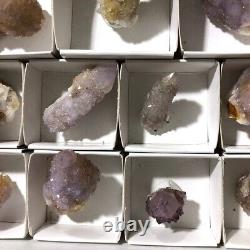 CRISTAL CACTUS SPIRIT QUARTZ 34 PIÈCES COULEURS MÊLÉES CCflat78