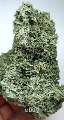 Cluster De Quartz De Chlorite De Balochestan Pakistan276gcollection Pièce