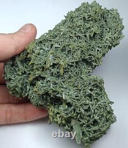 Cluster De Quartz De Chlorite De Balochestan Pakistan276gcollection Pièce