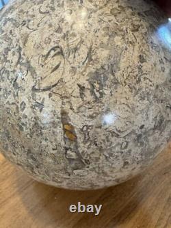 Coquille fossile de sphère fossile 8 pouces 24 livres