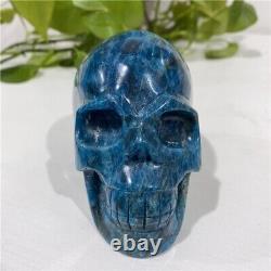 Crâne Apatite Bleu Naturel De Haute Qualité Crâne Cristal Crânes Sculpture D'art Pour Artisanat