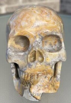 Crâne en agate folle sculpté à la main, pièce d'exposition polie en forme de crâne en cristal
