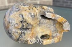 Crâne en agate folle sculpté à la main, pièce d'exposition polie en forme de crâne en cristal