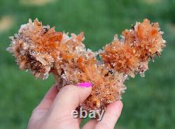 Creedite Crystals Superbe Gemmy Couleur Orange Du Mexique 512 Grams Grande Pièce