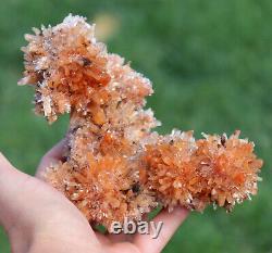 Creedite Crystals Superbe Gemmy Couleur Orange Du Mexique 512 Grams Grande Pièce