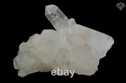 Cristal Himalayan Blanc Samadhi Quartz 525gm Méditation De Guérison Rough Minéral