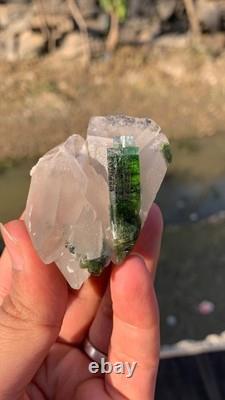 Cristal de Tourmaline Bleue avec Quartz Meilleures Pièces de Qualité