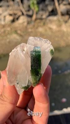 Cristal de Tourmaline Bleue avec Quartz Meilleures Pièces de Qualité