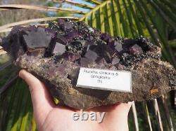 Cristal de fluorite, galène, sphalérite de Tennessee - Géants cristaux pourpres immenses