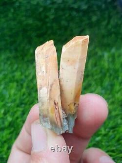 Cristaux d'Amphibole/Quartz Osseux (Lot de 21 Pièces) du Balochistan, Pakistan