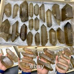 Cristaux de Quartz Fumé Naturel Bien Terminés Cristaux de Guérison Skardu, mine 20pcs
