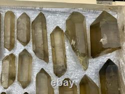 Cristaux de Quartz Fumé Naturel Bien Terminés Cristaux de Guérison Skardu, mine 20pcs