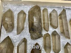 Cristaux de Quartz Fumé Naturel Bien Terminés Cristaux de Guérison Skardu, mine 20pcs