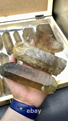 Cristaux de Quartz Fumé Naturel Bien Terminés Cristaux de Guérison Skardu, mine 20pcs