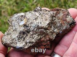 Cristaux de pyrrhotite en laiton rares, fins et lustrés, galène mineure, sidérite, Dalnegorsk