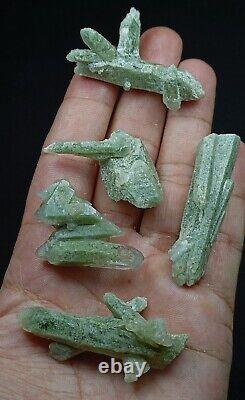 Cristaux de quartz chlorite de couleur verte, grappe et spécimens. Lot de 40 pièces - Pak