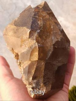 DT Quartz Fumé Cristal Avec Belle Formation Une Pièce de Collection #1222grammes