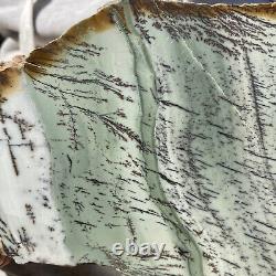 Échantillon de roche de paysage en jaspe vert dendritique de 1008g
