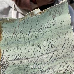 Échantillon de roche de paysage en jaspe vert dendritique de 1008g