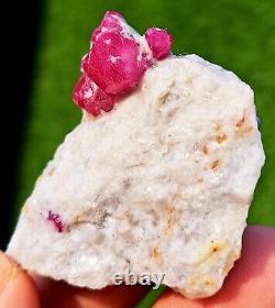 Échantillon de rubis de qualité supérieure, pièce incroyable avec un éclat superbe provenant de Jegdalak en Afghanistan, 59 grammes.