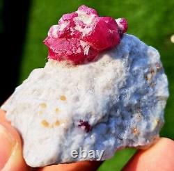 Échantillon de rubis de qualité supérieure, pièce incroyable avec un éclat superbe provenant de Jegdalak en Afghanistan, 59 grammes.