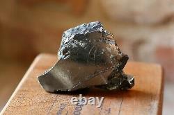 Elite Shungite Crystals Big Pièce 155g \ 9.7oz