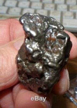 Énorme 102 Gm Campo Del Cielo Meteorite Crystal! Piece Grande Grande Taille Avec Support