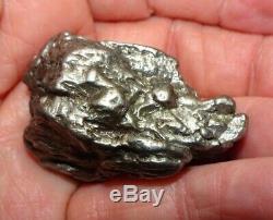 Énorme 102 Gm Campo Del Cielo Meteorite Crystal! Piece Grande Grande Taille Avec Support
