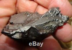 Énorme 110 Gm Campo Del Cielo Meteorite Crystal! Piece Grande Grande Taille Avec Support