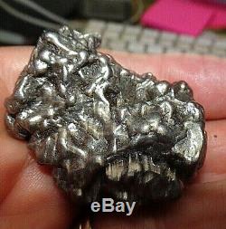Énorme 116 Gm Campo Del Cielo Meteorite Crystal! Piece Grande Grande Taille Avec Support