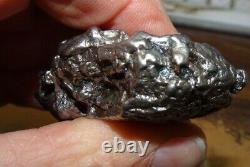 Énorme 118 Gm Campo Del Cielo Meteorite Crystal! Grande Grande Taille De Morceau Avec Le Stand