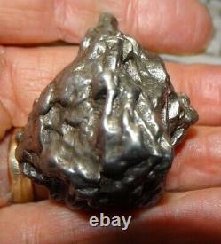 Énorme 154 Gm Campo Del Cielo Meteorite Crystal! Grande Grande Taille De Morceau Avec Le Stand
