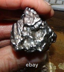 Énorme 168 Gm Campo Del Cielo Meteorite Crystal! Grande Grande Taille De Morceau Avec Le Stand