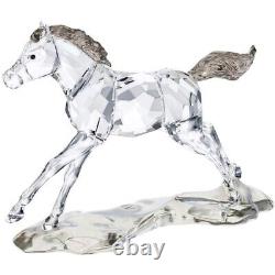 Ensemble de six figurines de chevaux SCS Esperanza en cristal Swarovski 2014 avec boîtes