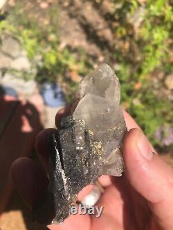 Ferberite xtls sur Quartz, Kara Oba, Kazakhstan, pièce historique, ex Wim Klein