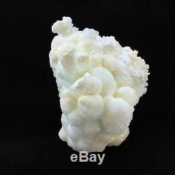 Grand Blanc Corail Calcite Spécimen Cristal De Guérison Métaphysique Affichage Piece