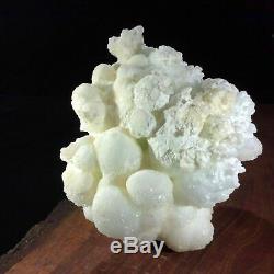 Grand Blanc Corail Calcite Spécimen Cristal De Guérison Métaphysique Affichage Piece