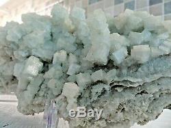 Grand Écran Vert Halite Mineral Piece Complète Avec Support Comme Montré