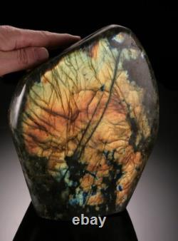 Grande pièce accrocheuse de labradorite éclatante