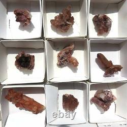 Gros 24 pièces de Quartz d'Hématite Rouge RQlot3