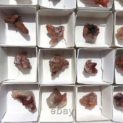 Gros 24 pièces de Quartz d'Hématite Rouge RQlot3